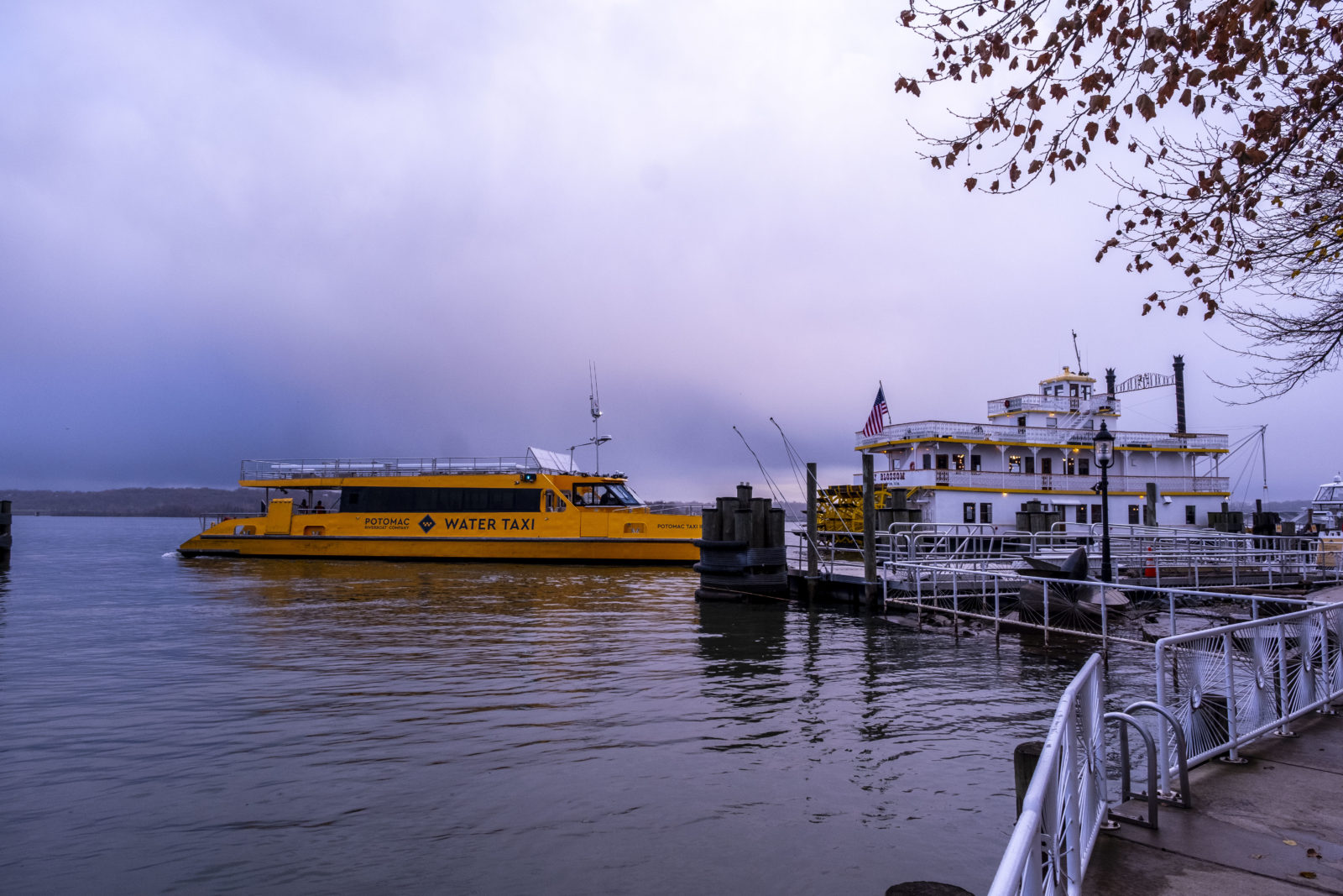 Just in time for the cherry blossoms, the water taxi returns to Alexandria ALXnow